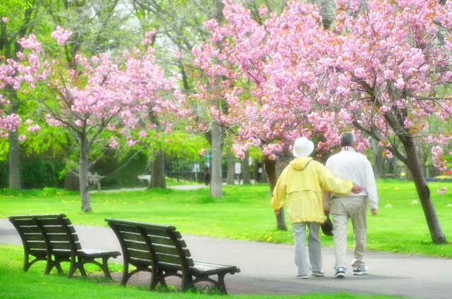 花を咲かせた木々のある春の風景