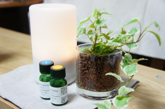 観葉植物のそばに並べた白い芳香用の道具と小さな精油瓶