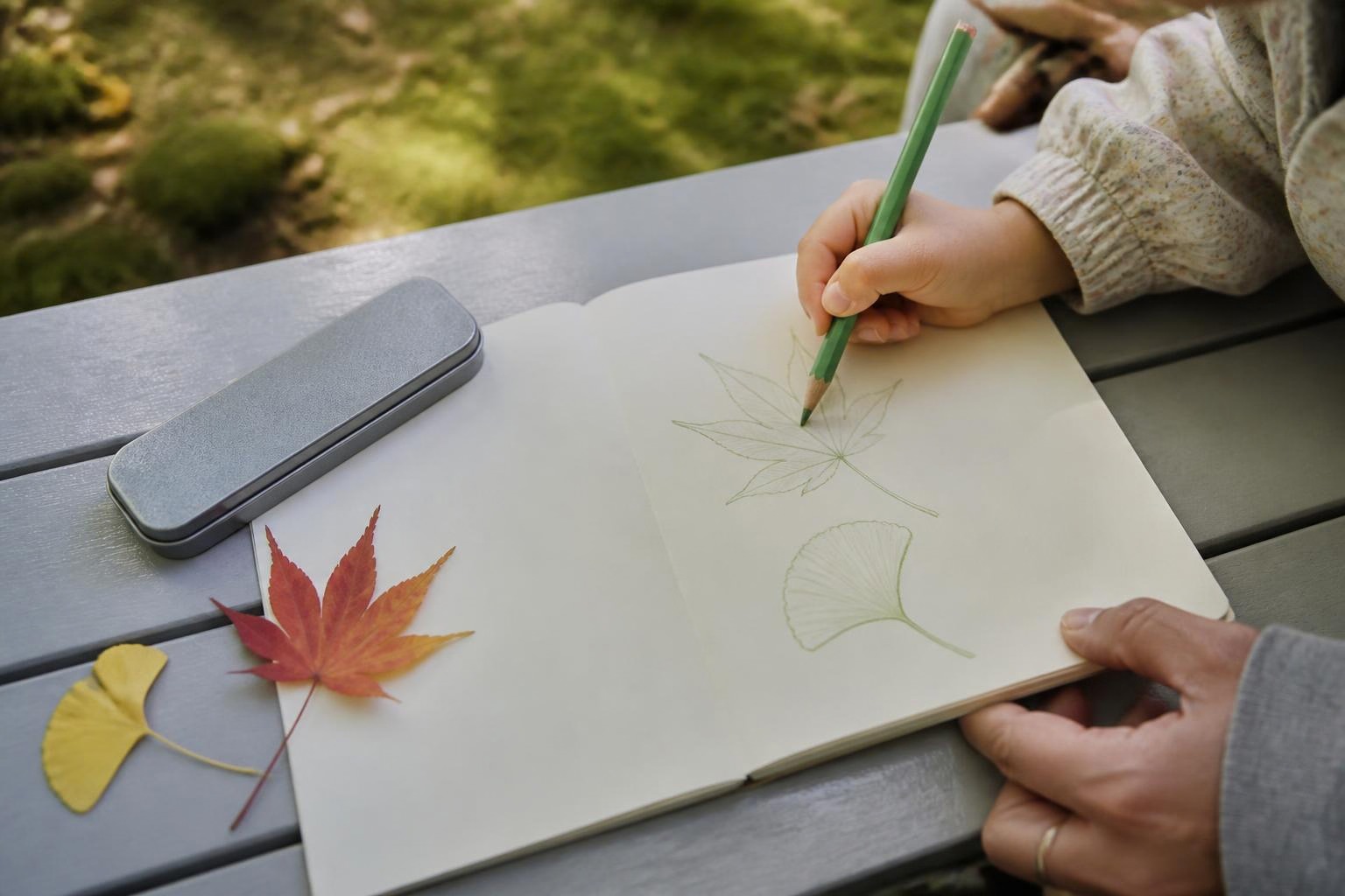 公園のベンチで親子が葉の形をノートに描く手元