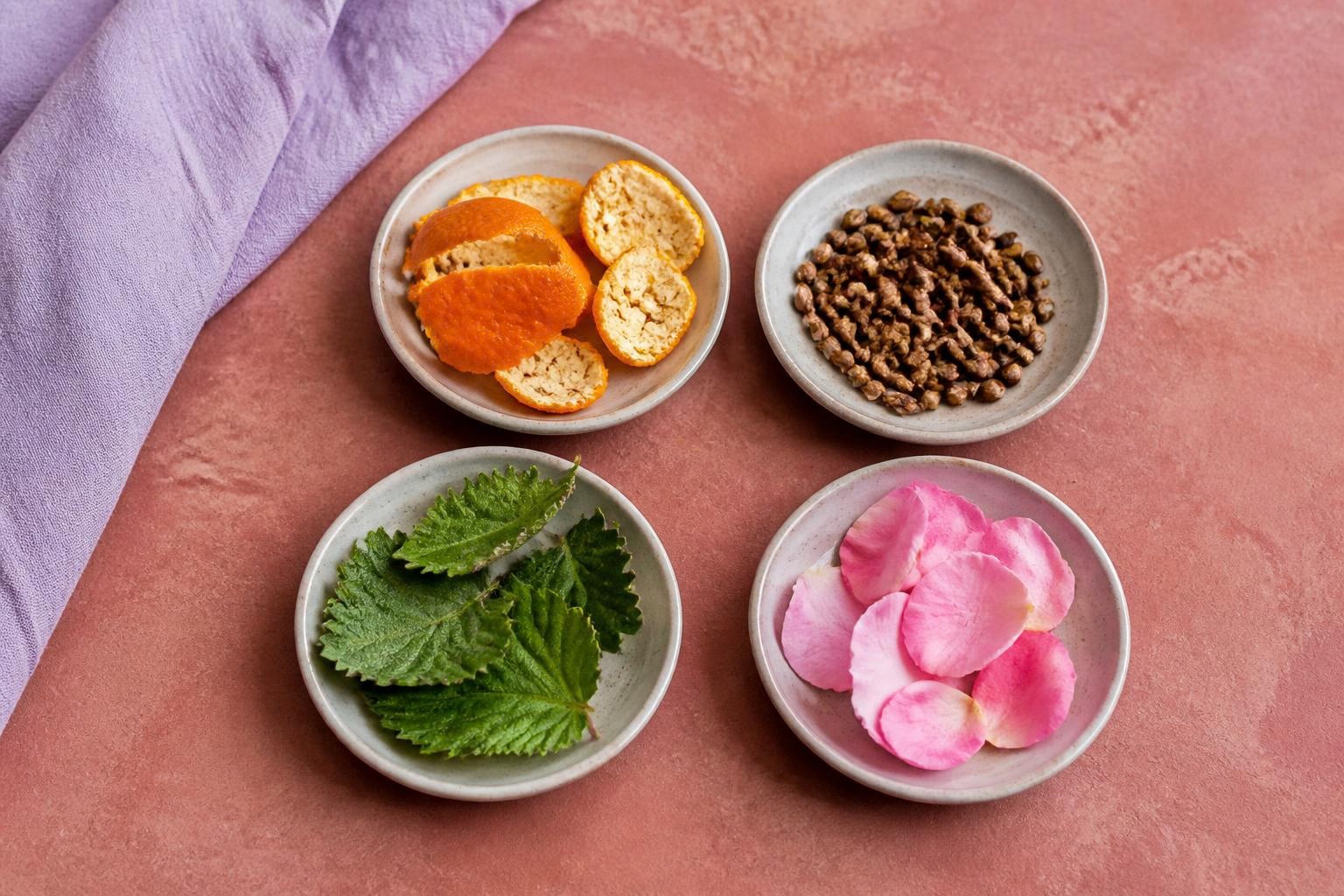果皮、種子、葉、花びらをイメージした素材を小皿に分けた風景