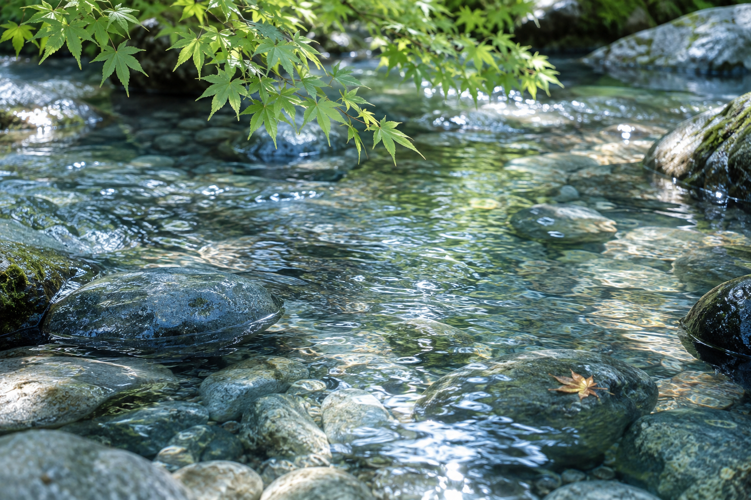 青灰色の石の間を流れる澄んだ小川と緑のカエデの葉