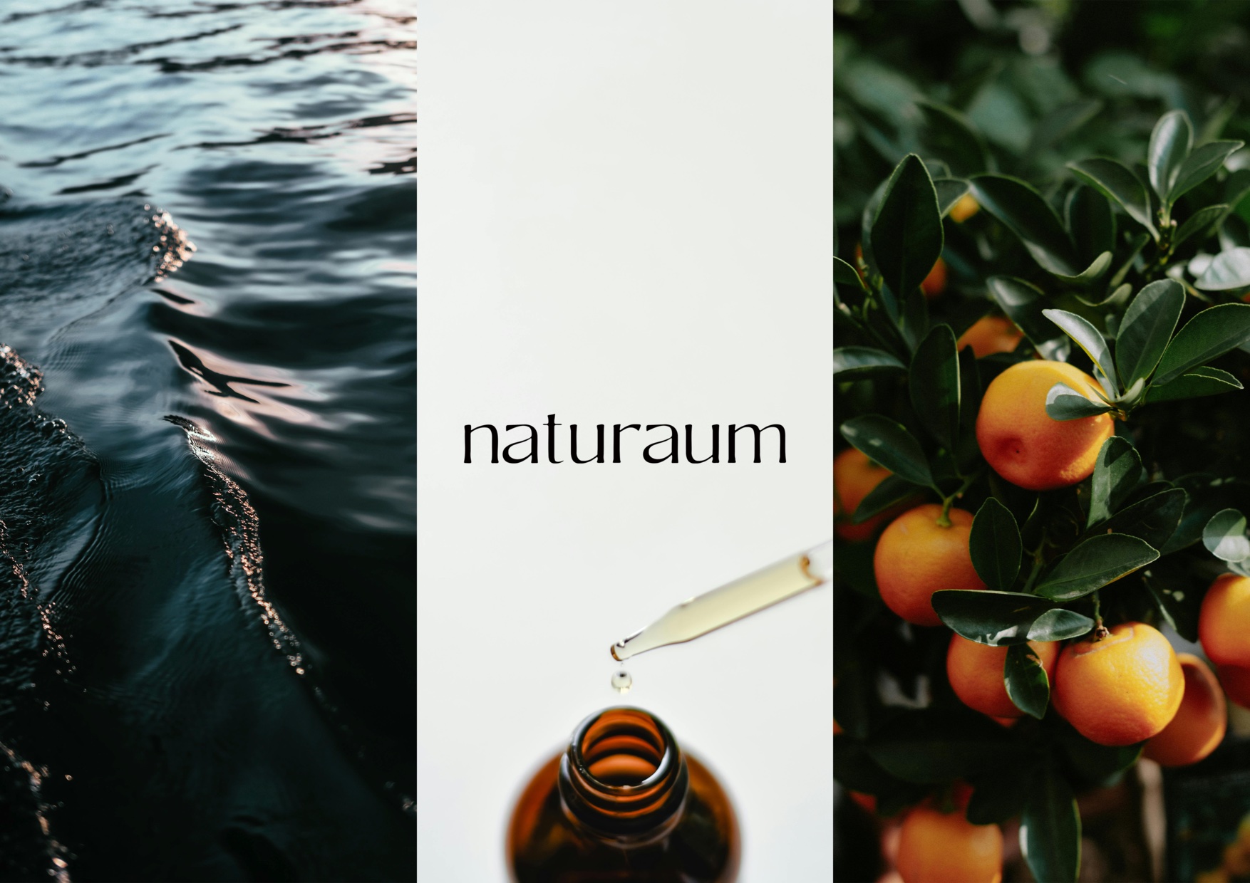 青い水面、naturaumのロゴと精油、柑橘を組み合わせたブランドイメージ
